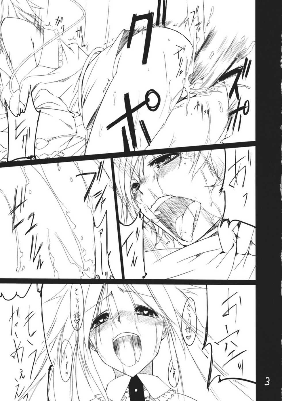 (Kouroumu 7) [Akari wa Honnori Tomoreba Ii (Kurokuro)] Kara no Ana (Touhou Project) - Page 3