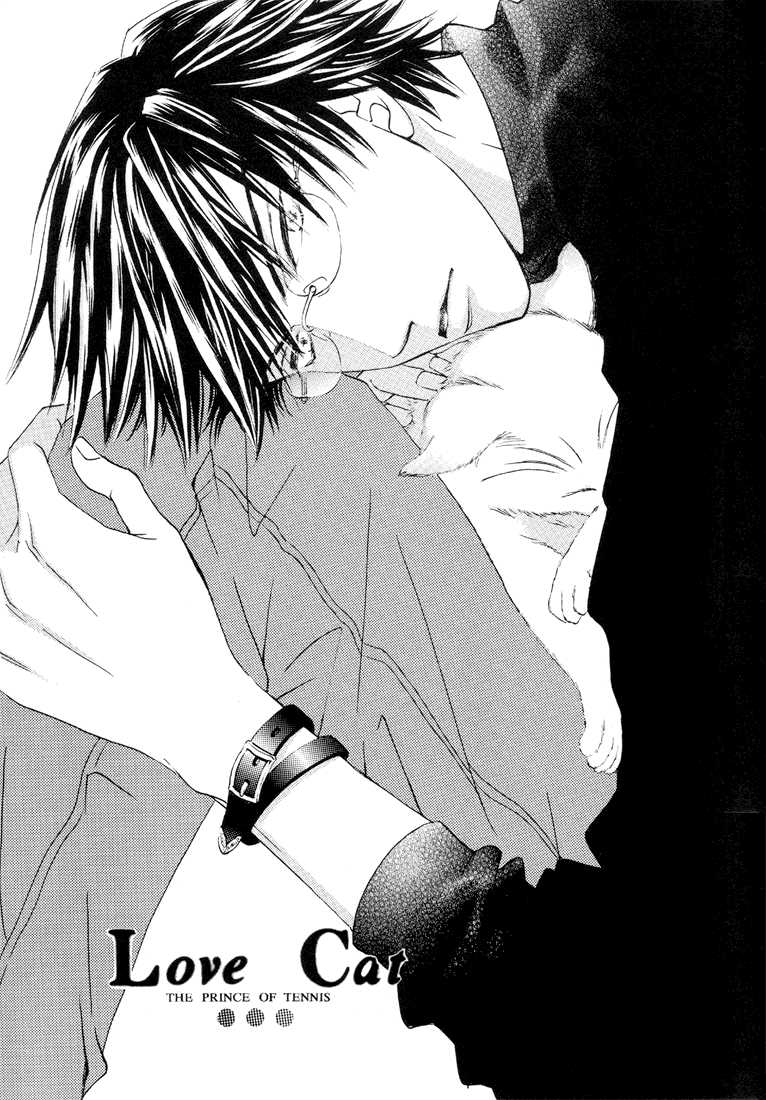 [CACTY (Kamo Nabako)] Love Cat (Prince of Tennis) [English] {Neutral} - Page 1