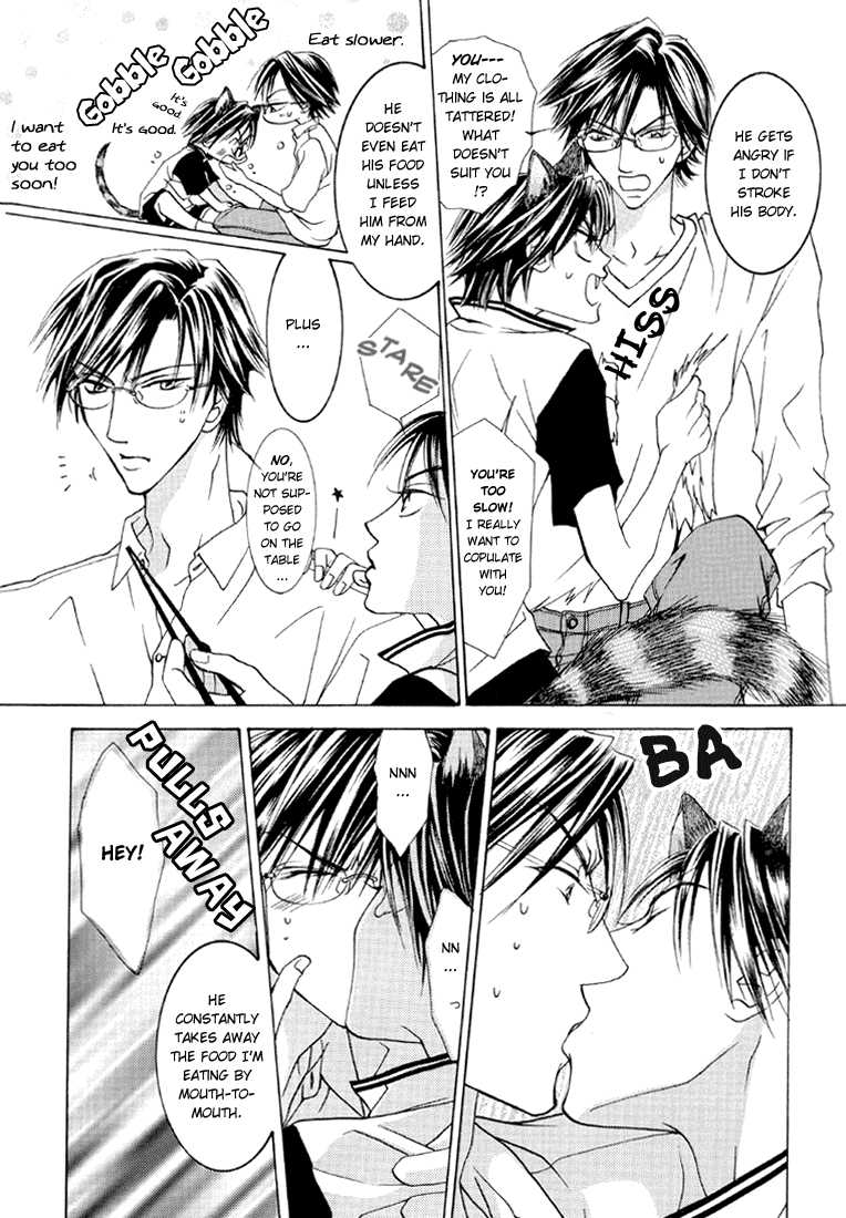 [CACTY (Kamo Nabako)] Love Cat (Prince of Tennis) [English] {Neutral} - Page 7