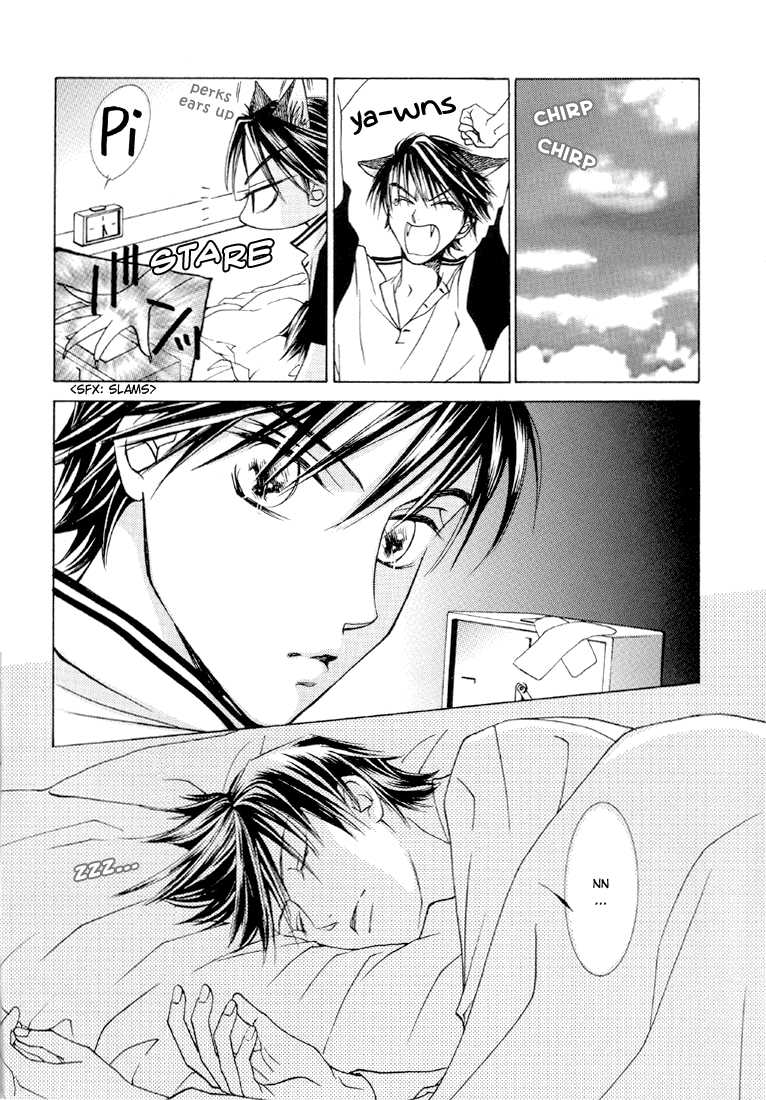 [CACTY (Kamo Nabako)] Love Cat (Prince of Tennis) [English] {Neutral} - Page 10