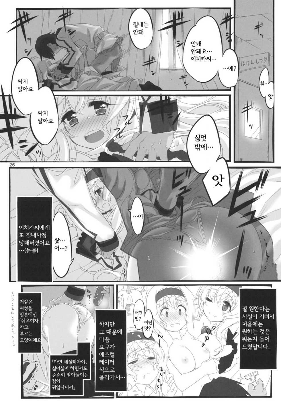 (C80) [Himura Nyuugyou (Himura Kiseki)] Yuuzai Shouko Bukken Sangou (IS <Infinite Stratos>) [Korean] [MR.kERO] - Page 25