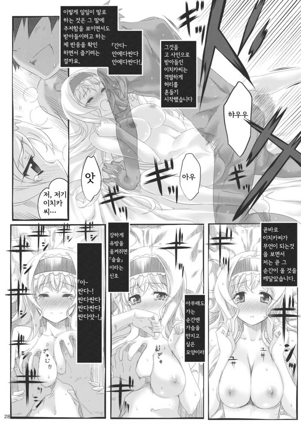 (C80) [Himura Nyuugyou (Himura Kiseki)] Yuuzai Shouko Bukken Sangou (IS <Infinite Stratos>) [Korean] [MR.kERO] - Page 27