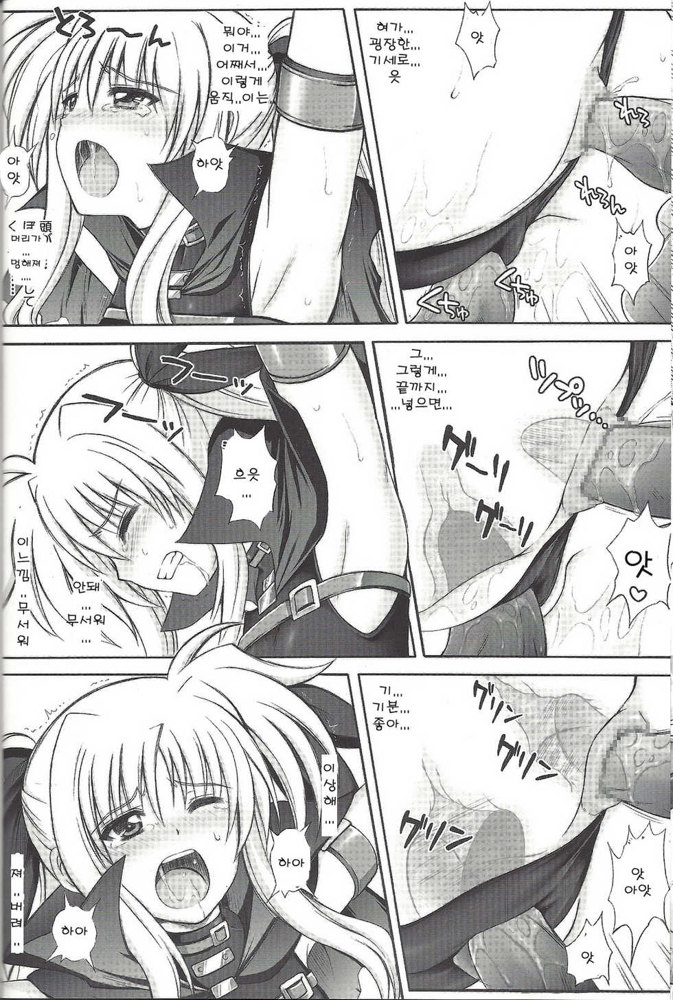[CYCLONE (Izumi Kazuya)] F850-X (Mahou Shoujo Lyrical Nanoha) (korean) - Page 14