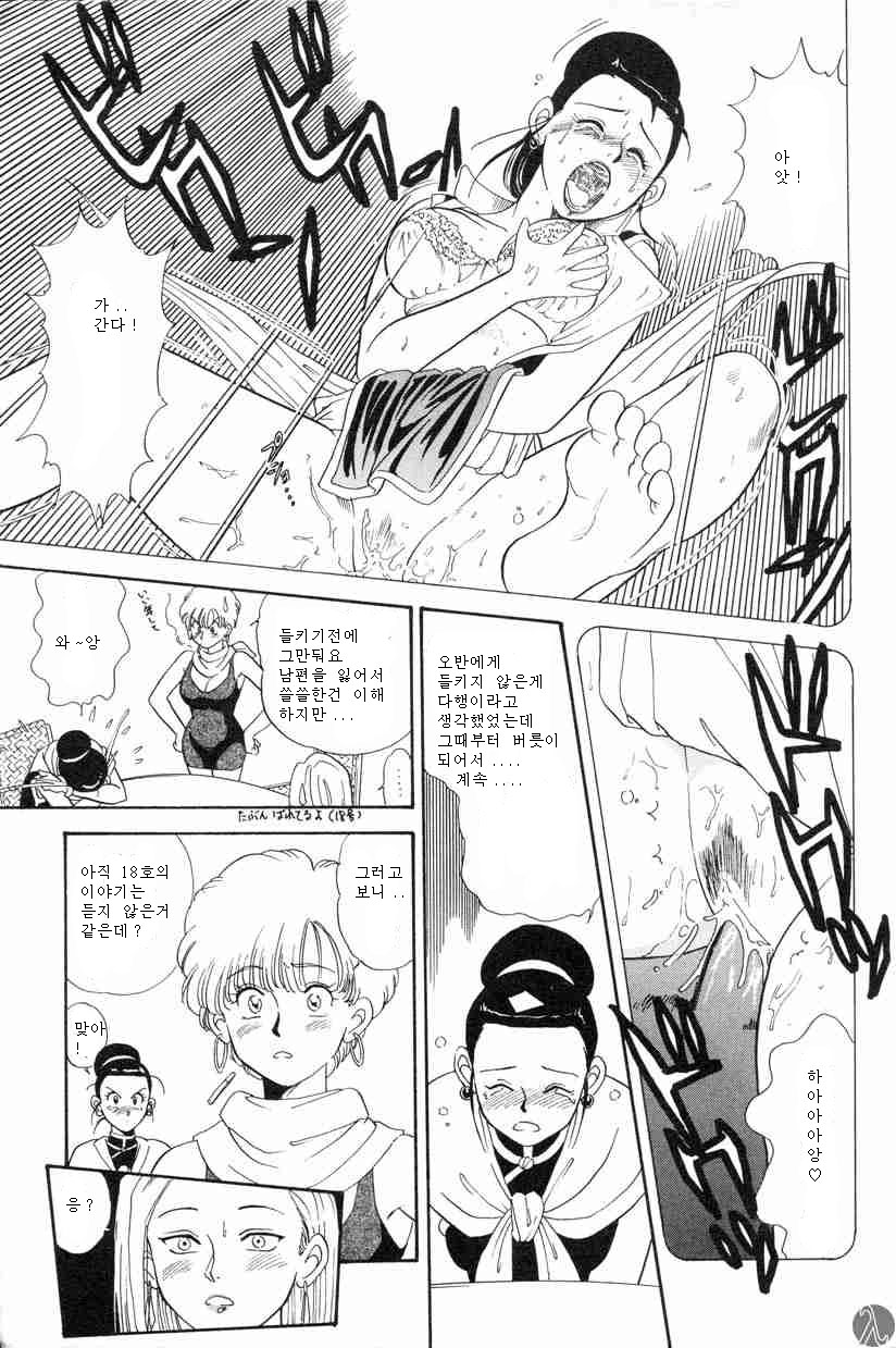 [Kosuke] Shufu no Zatsudan (Dragon Ball Z) [Korean] - Page 13