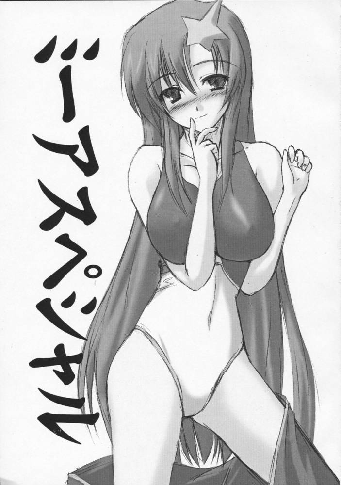 [Raiden Yashiki] Meer Special (Kidou Senshi Gundam SEED DESTINY / Mobile Suit Gundam SEED DESTINY - Page 2