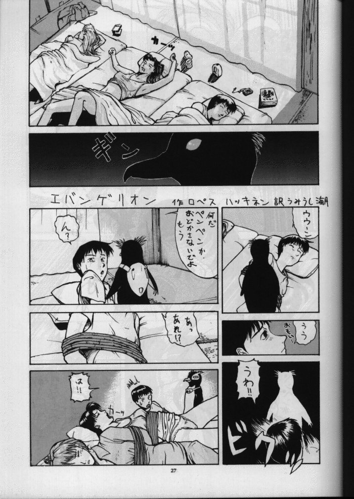 (C49) [Sanazura Doujinshi Hakkoujo (Sanazura Hiroyuki)] Sanazura Hiroyuki no Shumi no Doujinshi (Neon Genesis Evangelion) - Page 28