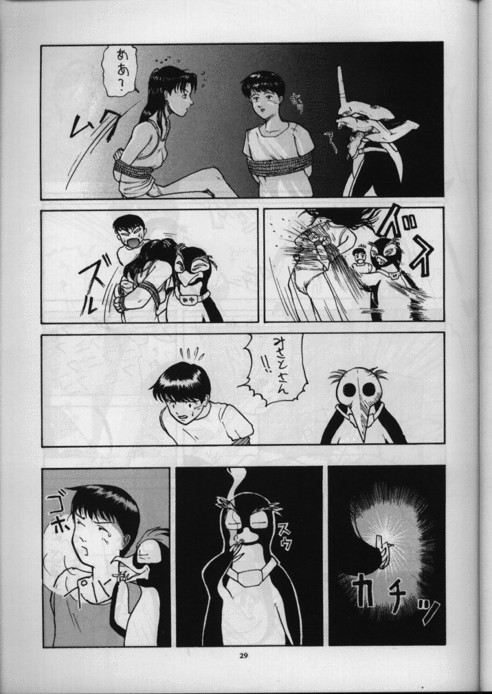 (C49) [Sanazura Doujinshi Hakkoujo (Sanazura Hiroyuki)] Sanazura Hiroyuki no Shumi no Doujinshi (Neon Genesis Evangelion) - Page 30