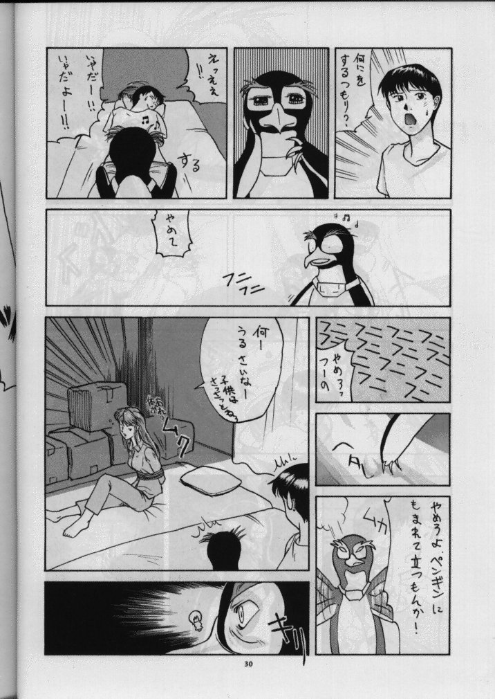 (C49) [Sanazura Doujinshi Hakkoujo (Sanazura Hiroyuki)] Sanazura Hiroyuki no Shumi no Doujinshi (Neon Genesis Evangelion) - Page 31