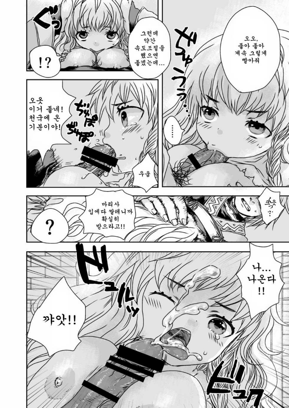 [Messiah Syndrome (Qutouten)] metamorphose (Touhou Project) [Korean] [Team Arcana] [Digital] - Page 12