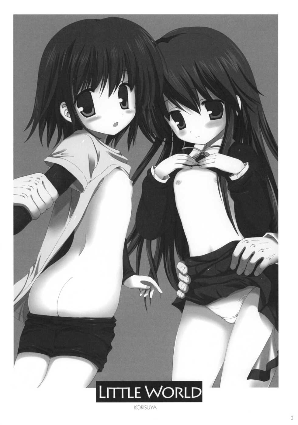 (COMIC1☆6) [Korisuya (Korisu)] Little World -Copy-bon Sairokushuu- - Page 2