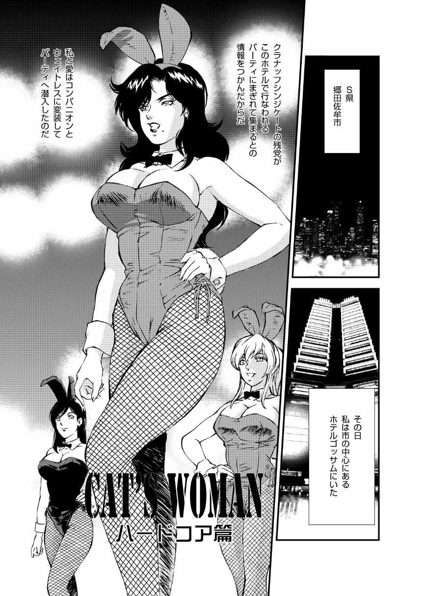 [Rippadou (Liveis Watanabe)] CAT’S WOMAN HARD CORE Hen (Batman, Cat's Eye) - Page 6