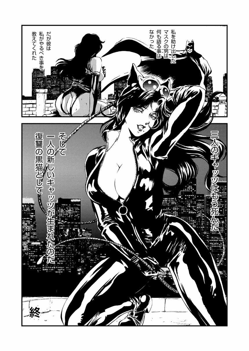 [Rippadou (Liveis Watanabe)] CAT’S WOMAN HARD CORE Hen (Batman, Cat's Eye) - Page 27