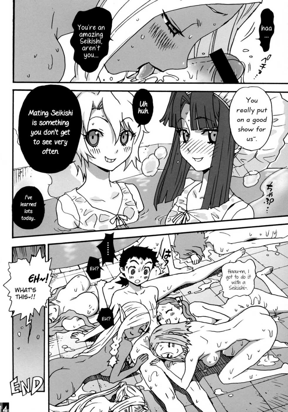 (C81) [Musansodou (Miyakawa Hajime)] Seikishi Yokujou | Seikishi Bathhouse (Isekai no Seikishi Monogatari) [English] =TV= - Page 14