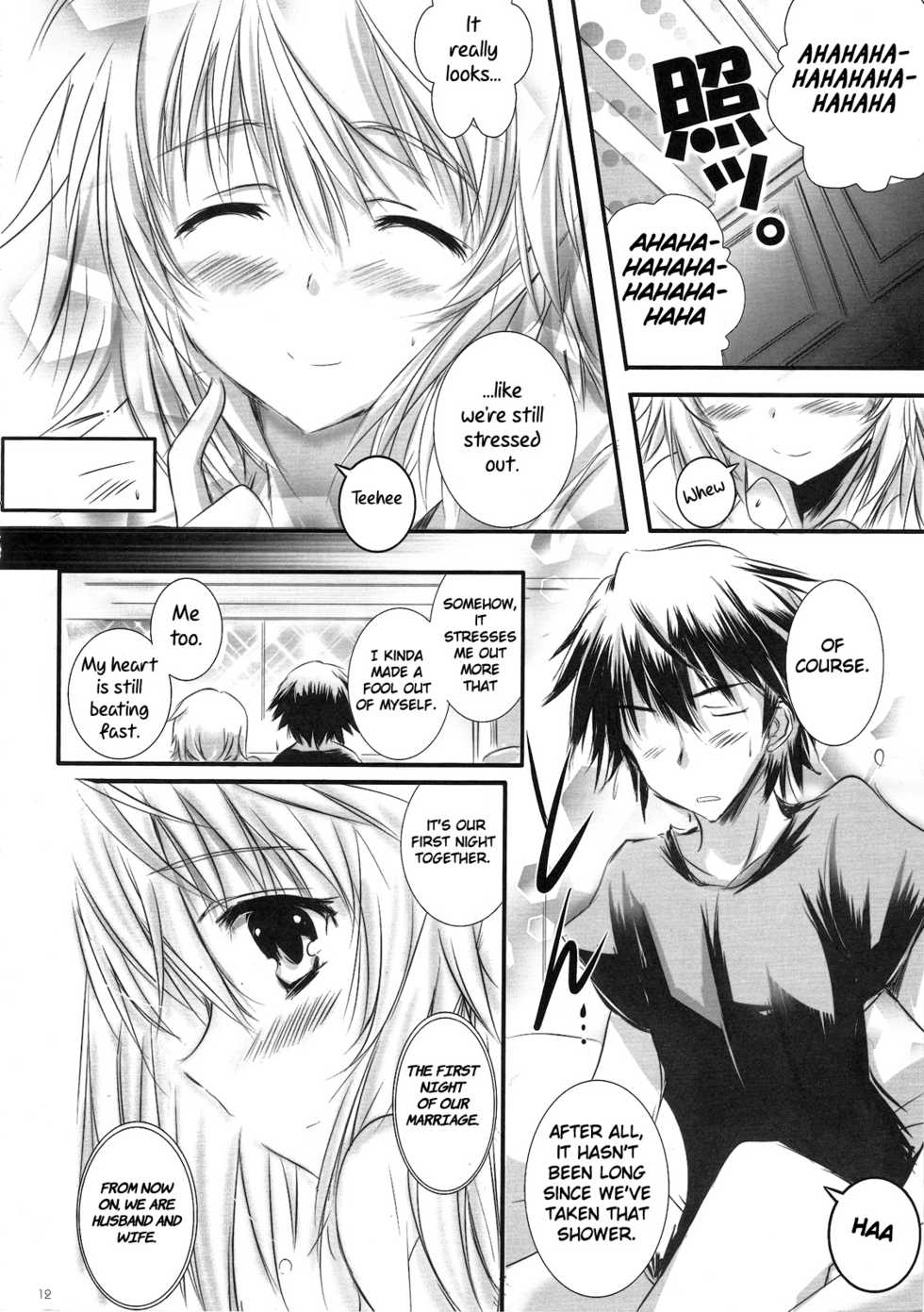 (C81) [SONIC WINTER (Tsukishima Kai)] Carol (Infinite Stratos) [English] - Page 12