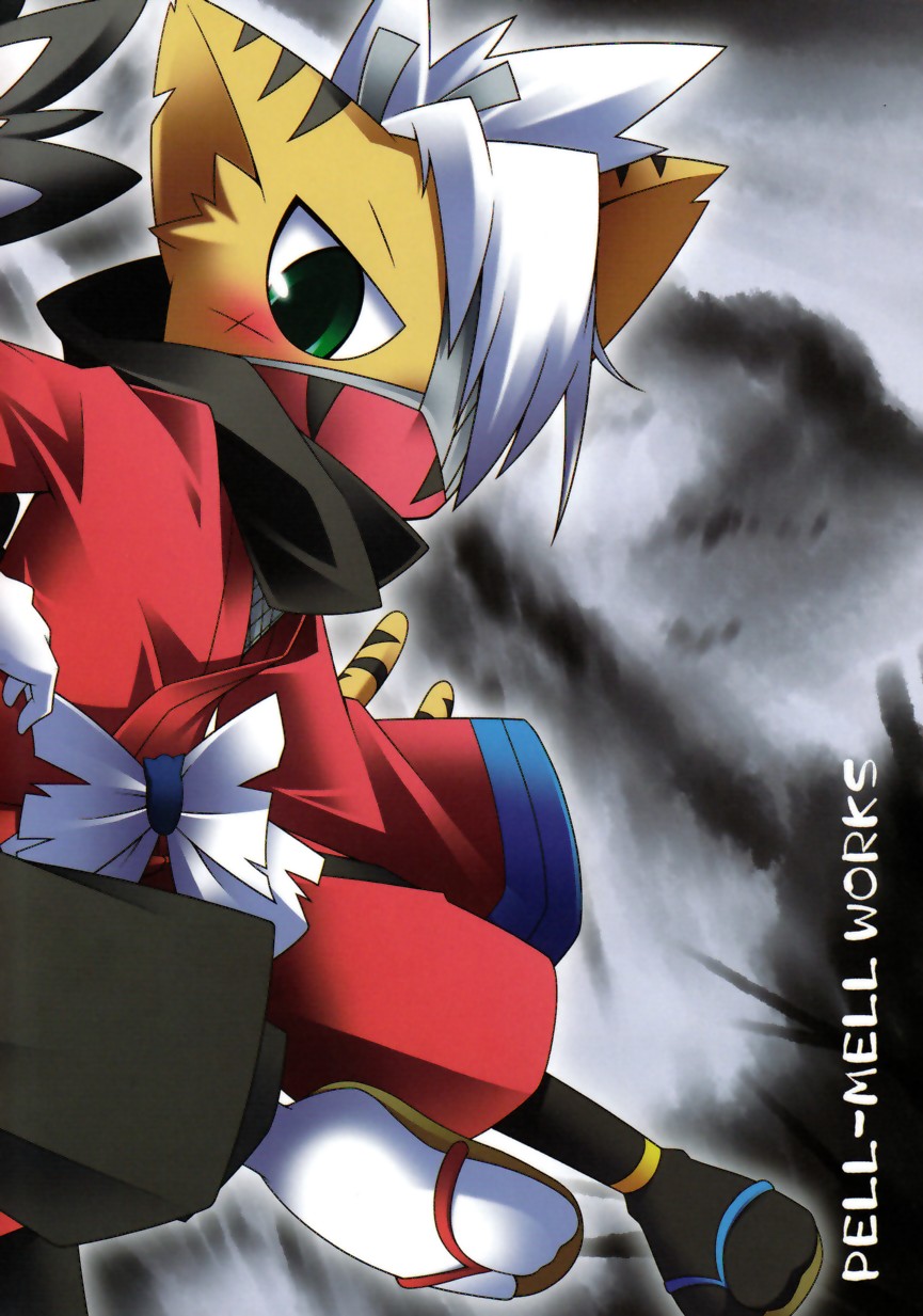 (Fur-st 3) [PELL-MELL WORKS (Kougami)] Omoi Some Shika (Pop'n Music) - Page 2