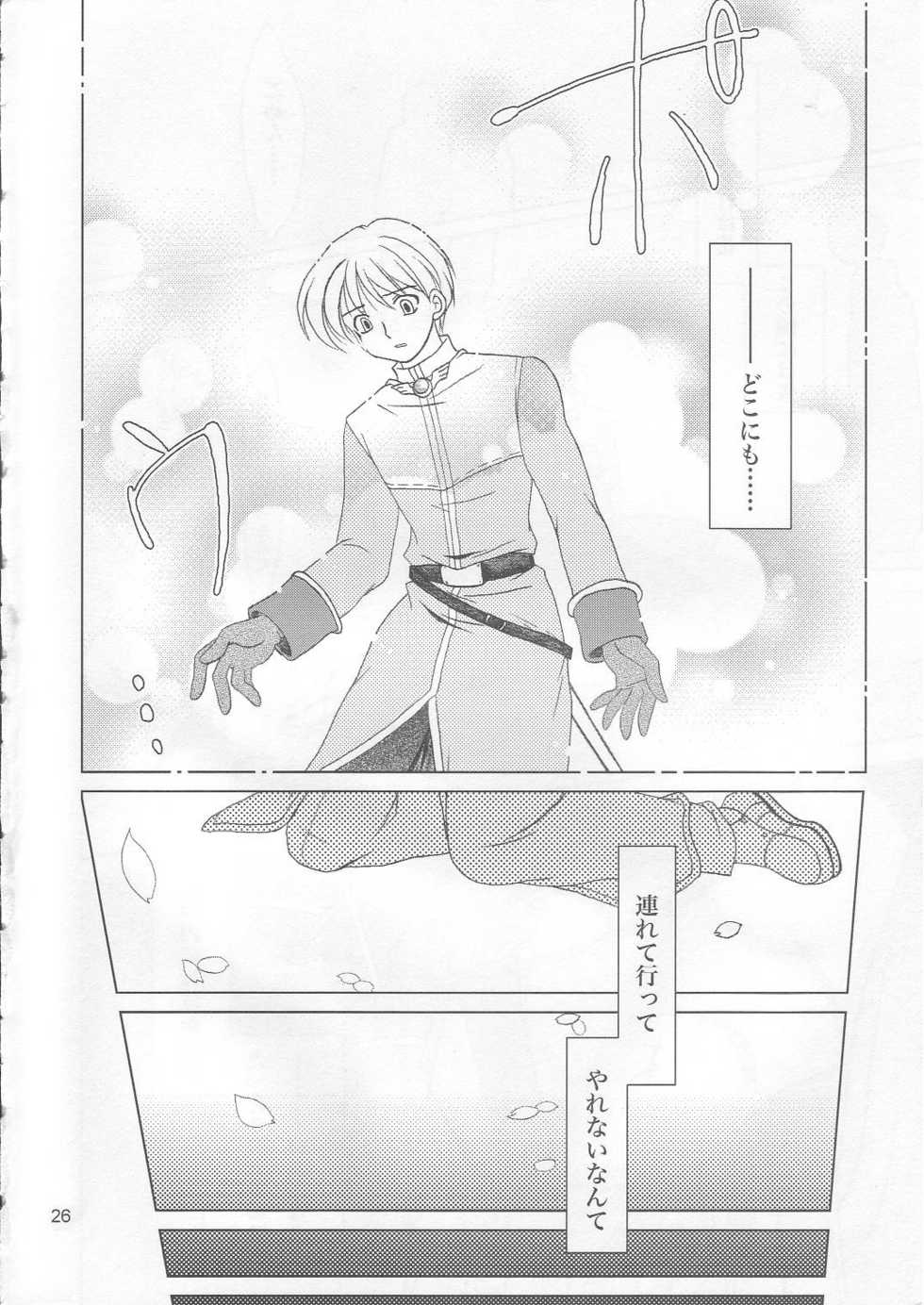(C67) [PLUM (Kanna)] Magenarok 12 (Ragnarok Online) - Page 25