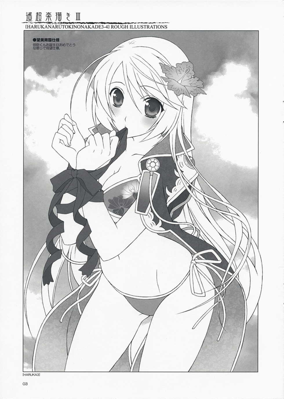 (C74) [Totsugeki Wolf (Yuhki Mitsuru)] Haruchou Rakugaki III (Harukanaru toki no naka de) - Page 3