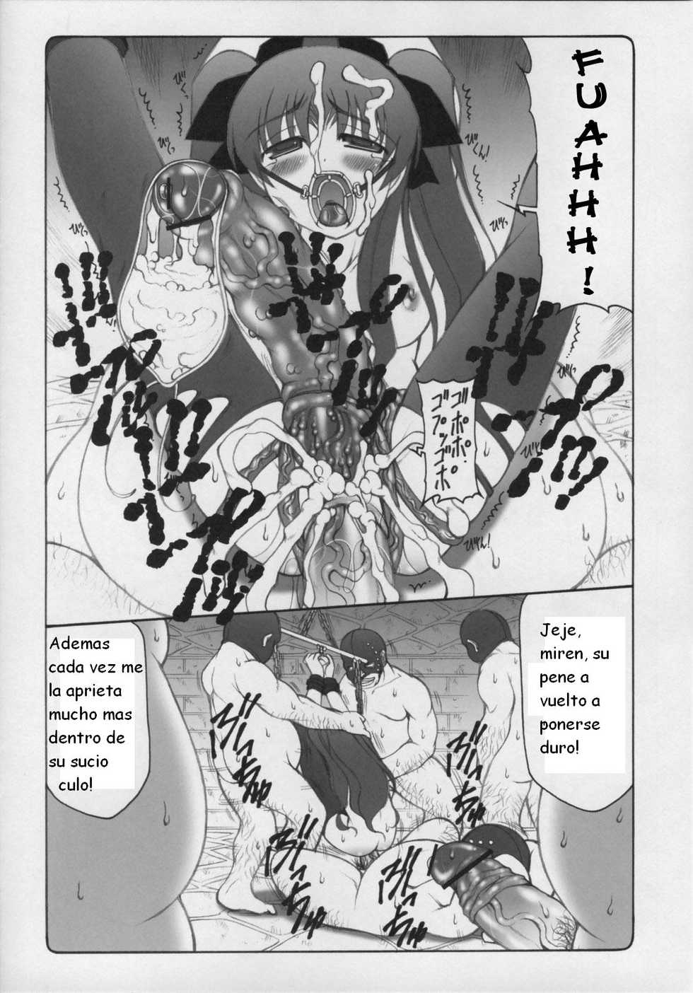 (Comic Castle 2006) [Abarenbow Tengu (Izumi Yuujiro)] Kotori 3 (Fate/stay night) [Spanish] {Kurotao} - Page 14