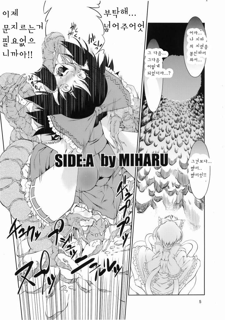 (C76) [FAKESTAR & RUBBISH Selecting Squad (kari suke, Miharu, Namonashi)] T (Touhou Project) [Korean] - Page 4