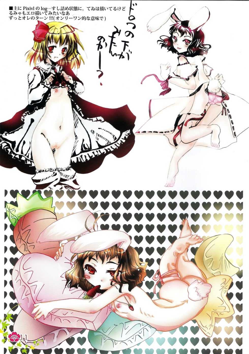 (Reitaisai 6) [Burning Soul (Sakayaki)] Touhou log (Touhou Project) - Page 11