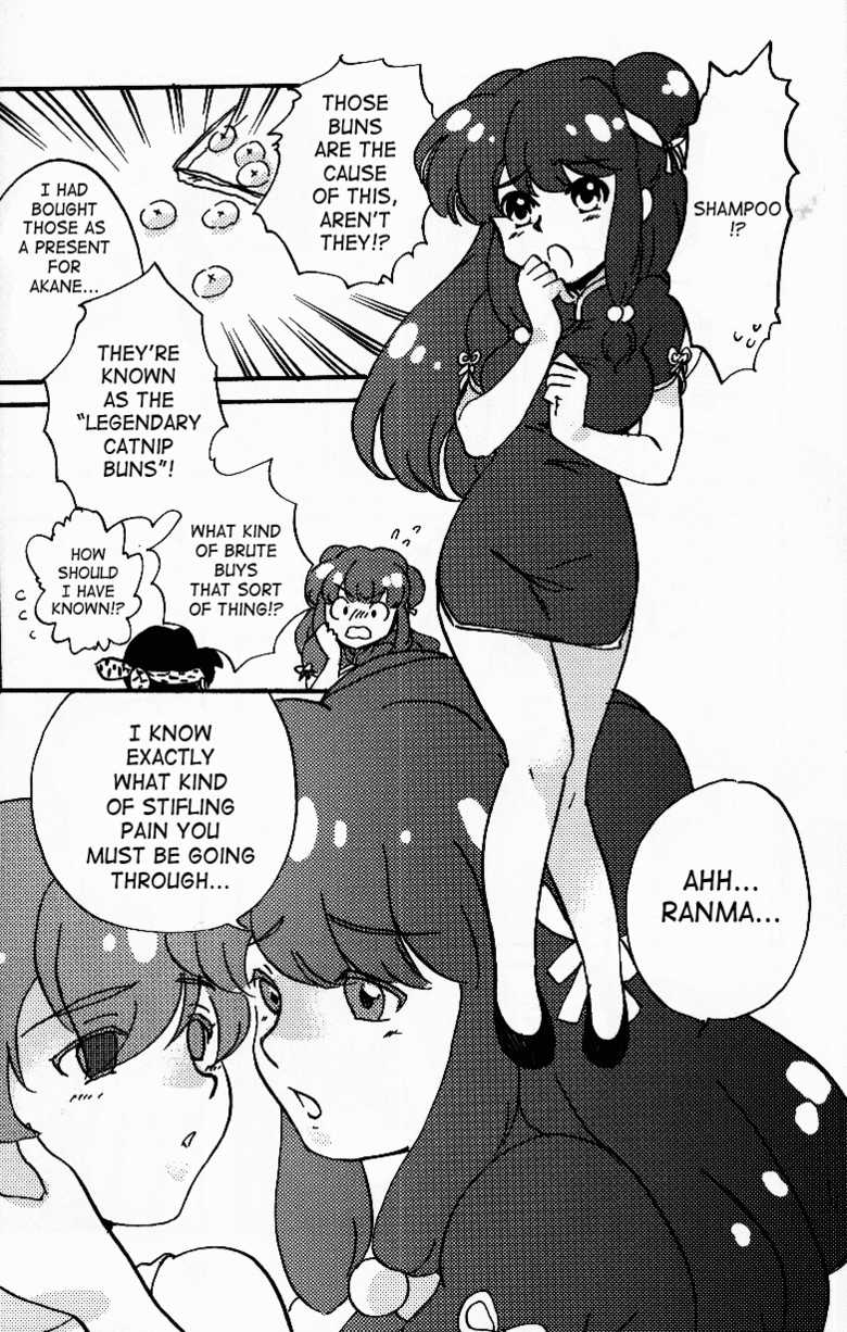 (C76) [LETTA, Romantic Shinjuu (Various)] Hyakka Ran Ran (Ranma 1/2) [English] [SaHa] - Page 21