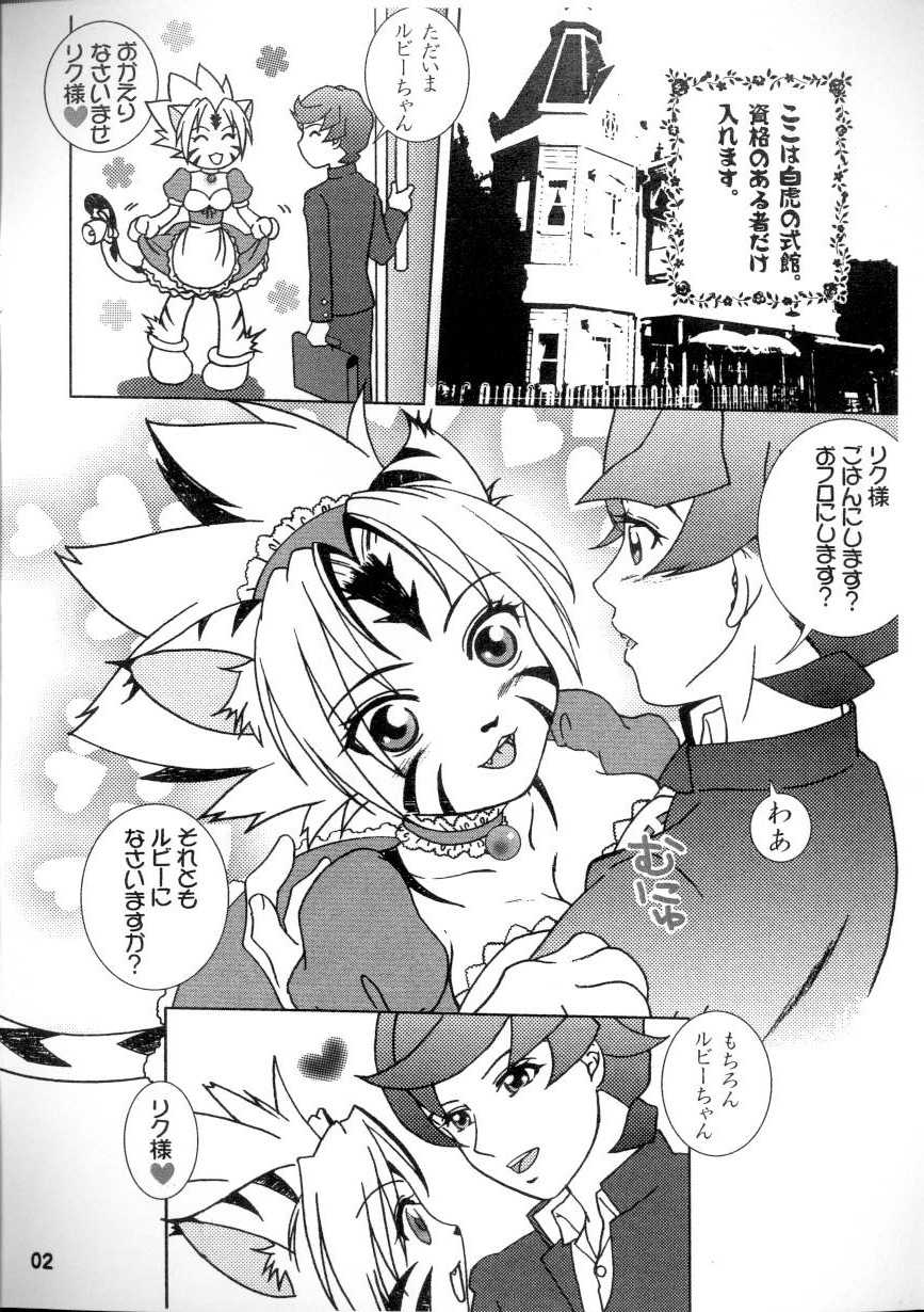 (C73) [BIOLOGIST (Fubuki Yuki)] Byakko Kissa e Youkoso! (Onmyou Taisenki) - Page 2