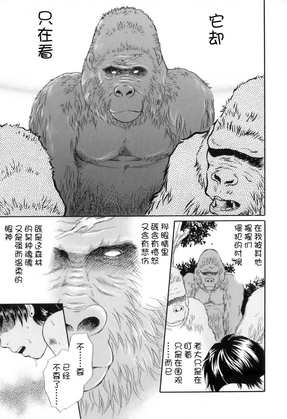 [Tsukimori Masato] Gin no Se ~Silverback~ (Kemono for ESSENTIAL 8) [Chinese] [流浪貓·裏] - Page 15
