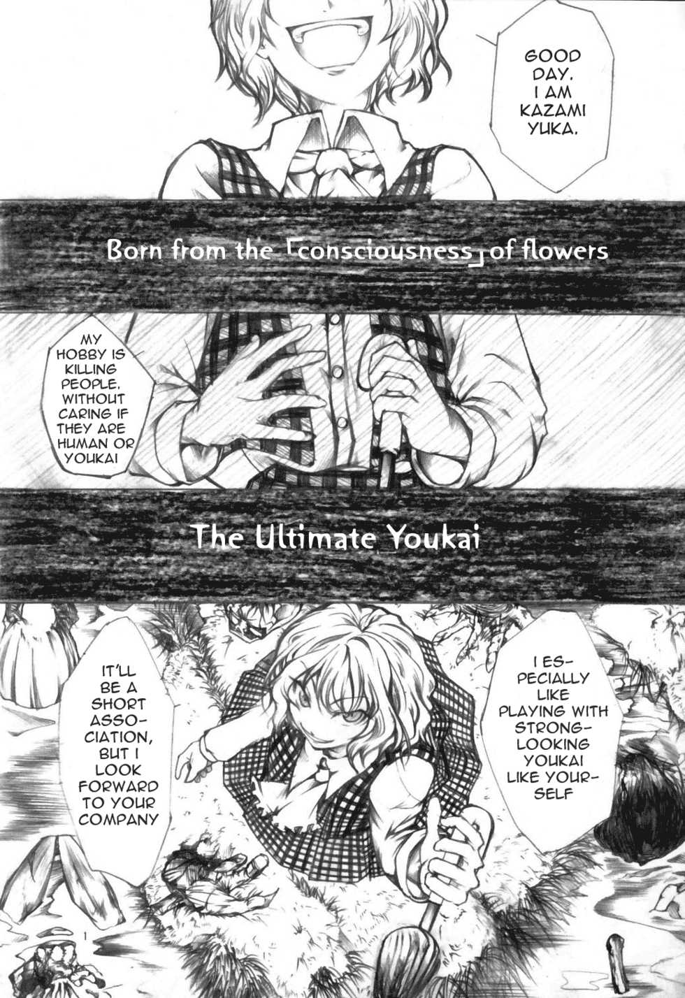 (C69) [Tohonifun (Chado)] Yuuka vs Yukari (Touhou Project) [English] [Gaku Gaku Animal Land] - Page 4