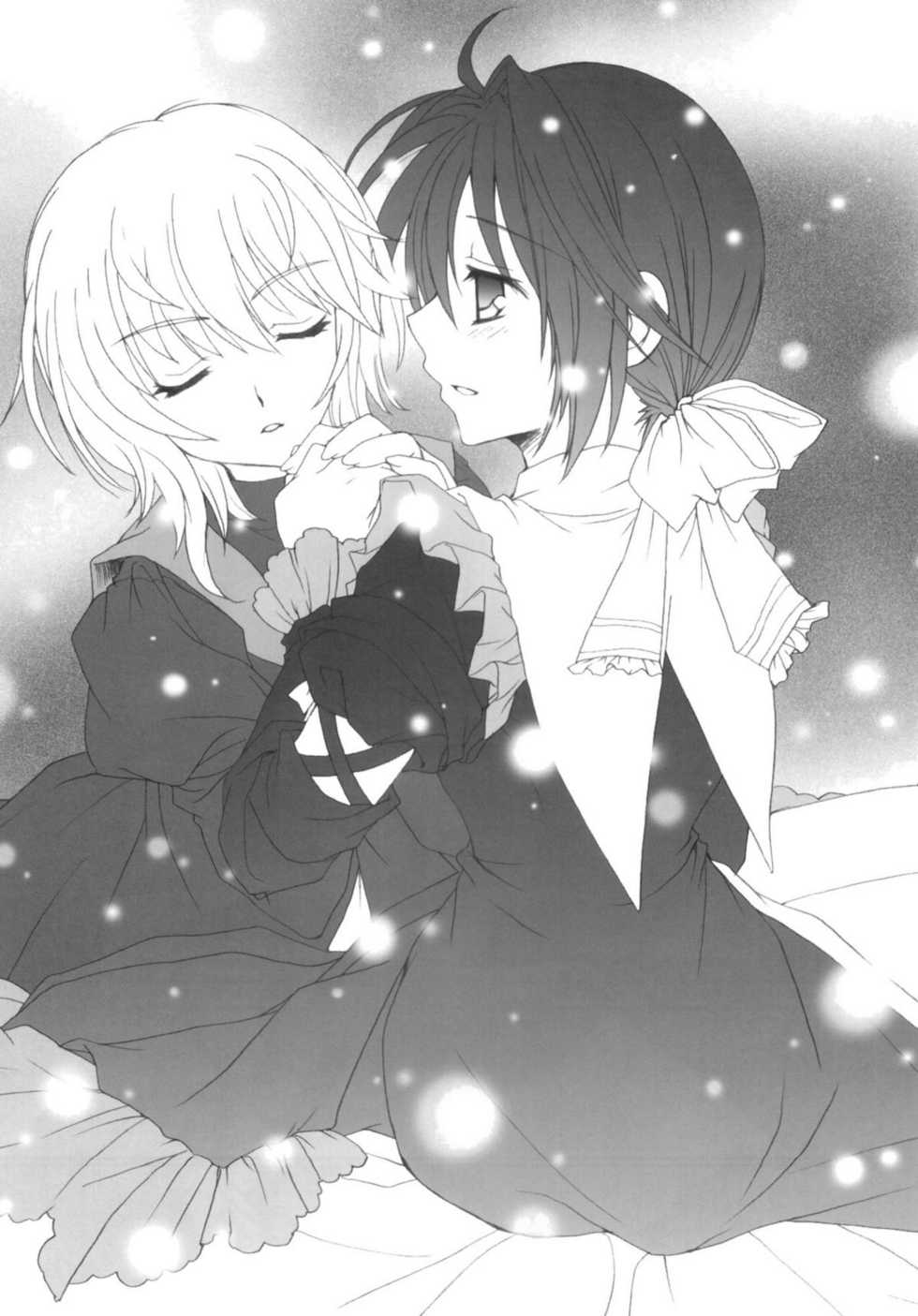 (C80) [Pyonpyororin (Akoko.)] Partner (Seikon no Qwaser) [Spanish] {Kurotao} - Page 5