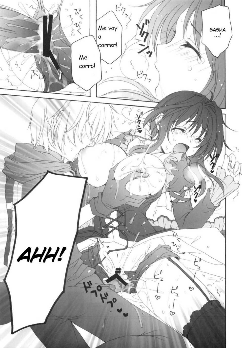 (C80) [Pyonpyororin (Akoko.)] Partner (Seikon no Qwaser) [Spanish] {Kurotao} - Page 18