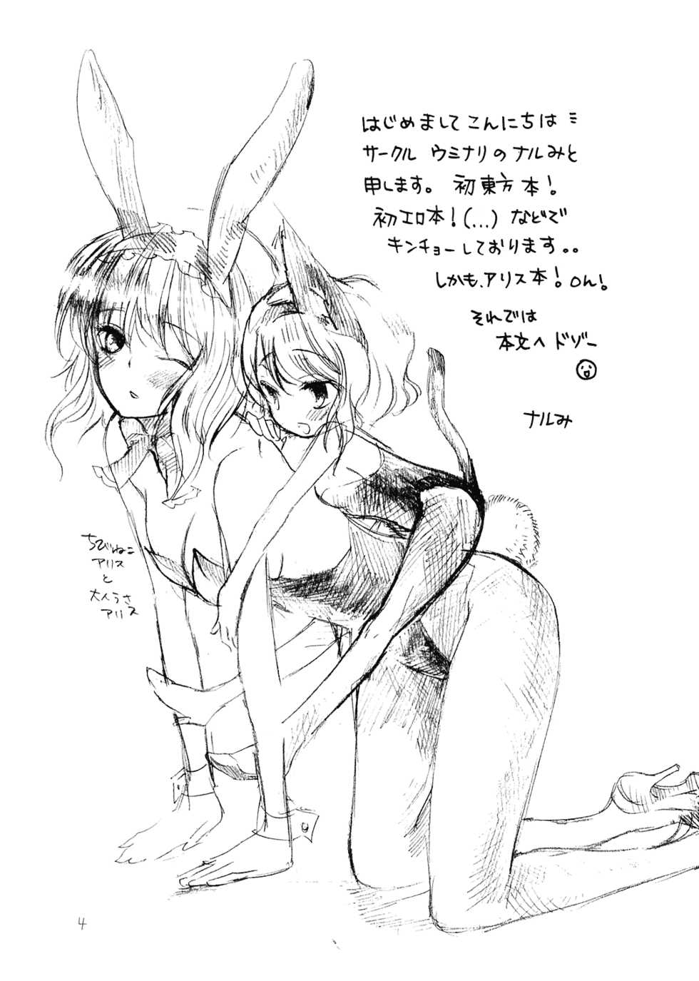 (SC39) [Uminari (Narumi)] Ali Pro Sono 1 (Touhou Project) - Page 4