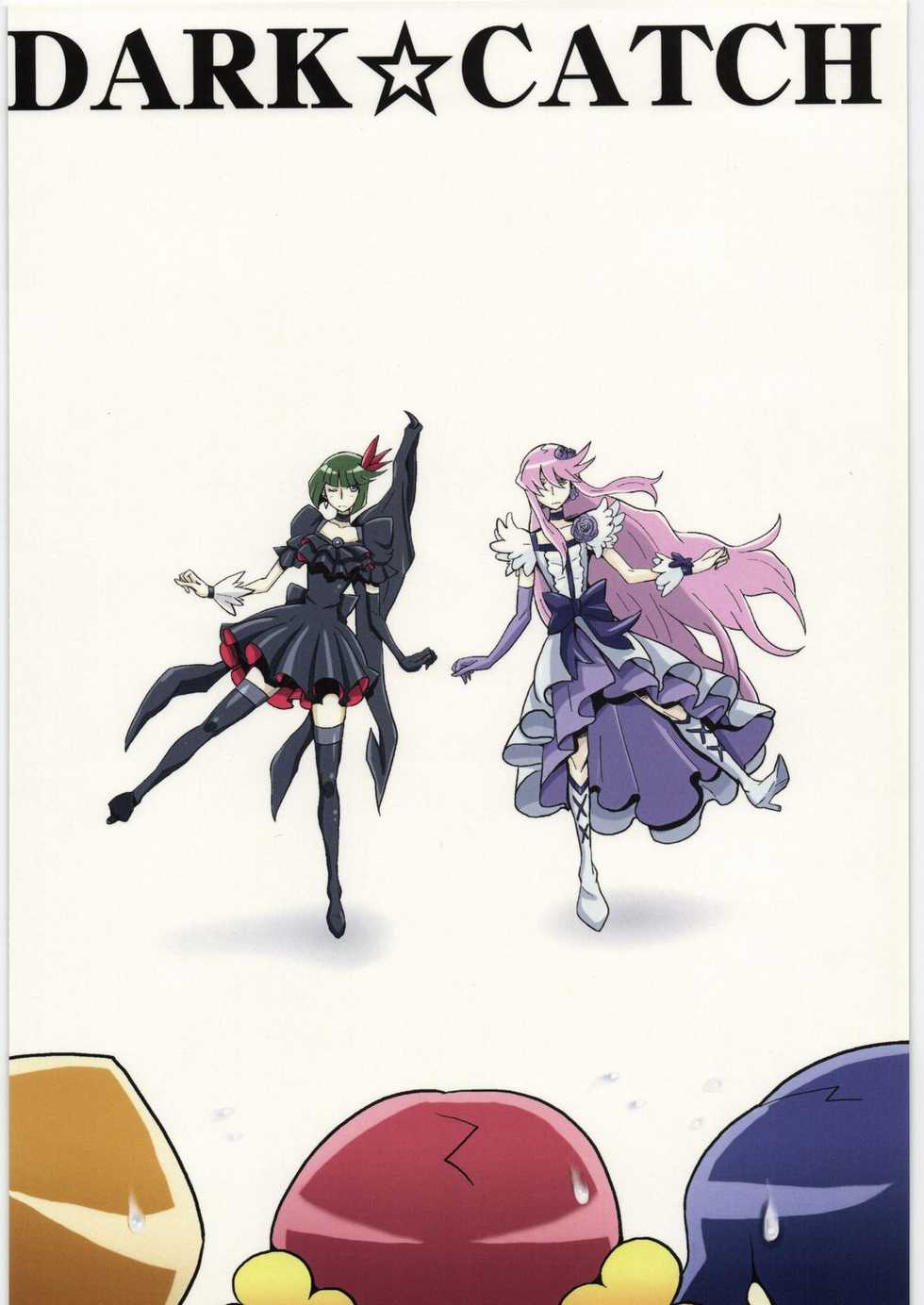 (C78) [Dragonia (Toryuu)] DARK CATCH (Heart Catch Precure!) - Page 26