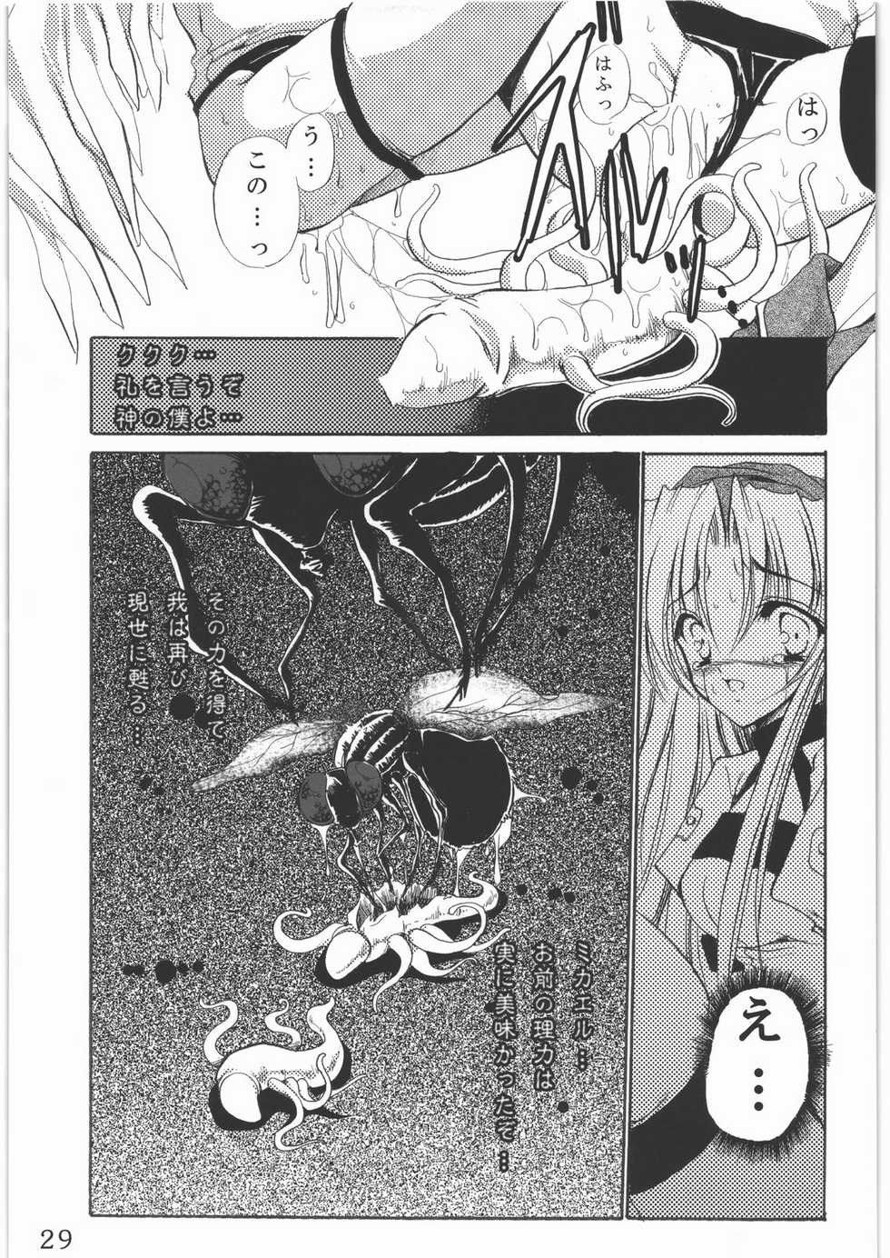(C78) [Gin no Hoshitei (Tamiya Akito)] Sacred Order Seraphim Force - Page 28