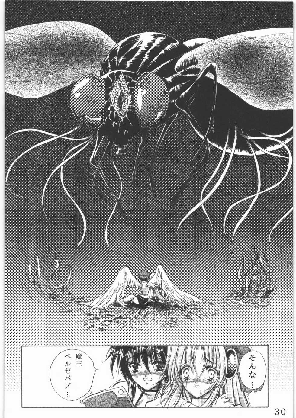 (C78) [Gin no Hoshitei (Tamiya Akito)] Sacred Order Seraphim Force - Page 29