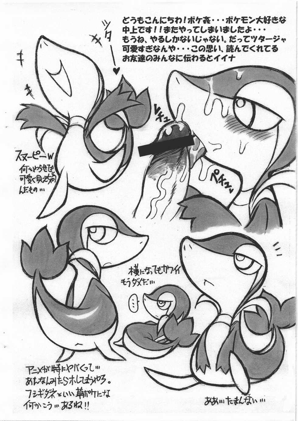 (C79) [Mayoineko (Nakagami Takashi)] Himitsu no WB (Pokemon) - Page 2