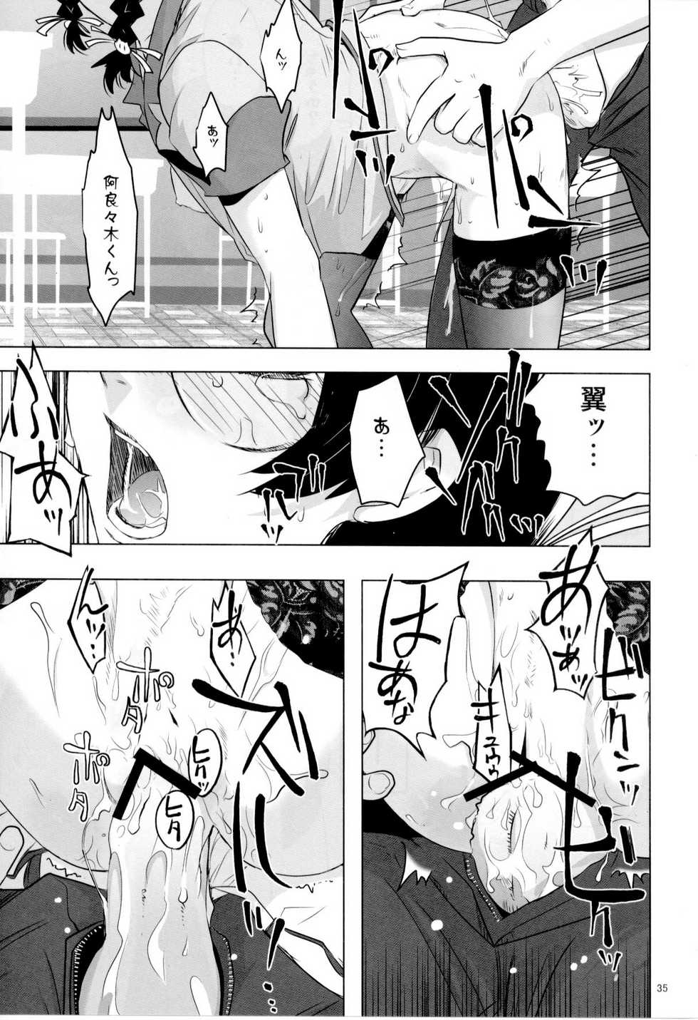 (C80) [Rikudou Juku (Rikudou Koushi)] ROOT HANEKAWA ALL (Bakemonogatari) - Page 34