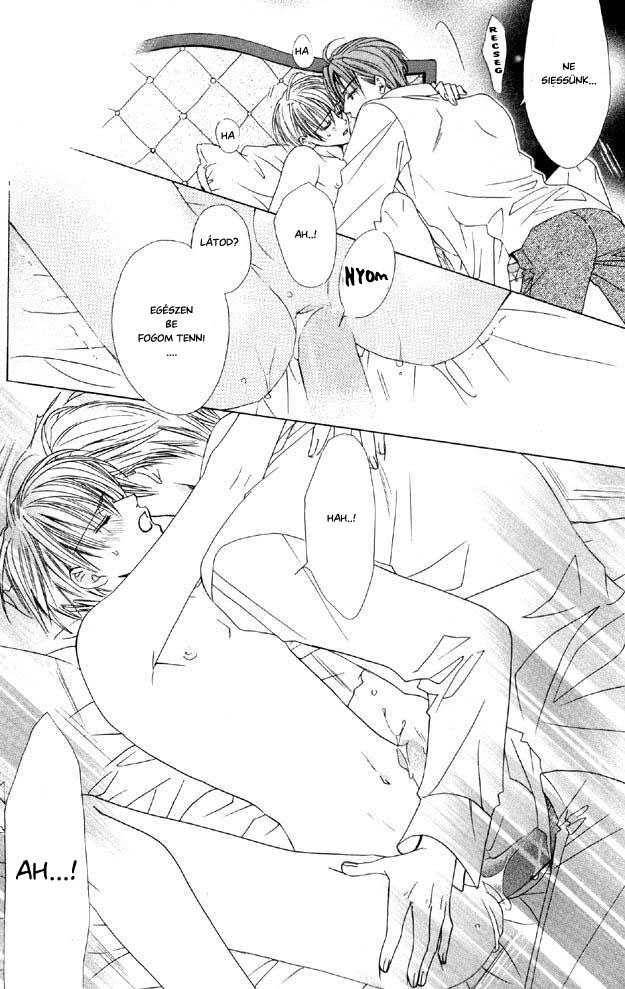 A Pair of Lovers in Private Room [Hungarian] - Page 14