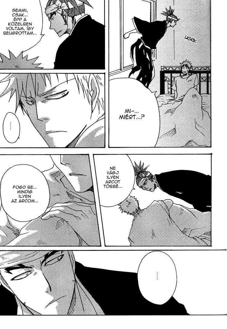 A Long Night (Bleach) [Hungarian] - Page 12