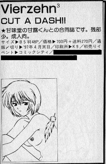 [CUT A DASH!! (Mitsumi Misato)] Vierzehn³ (Neon Genesis Evangelion) [Incomplete] - Page 11
