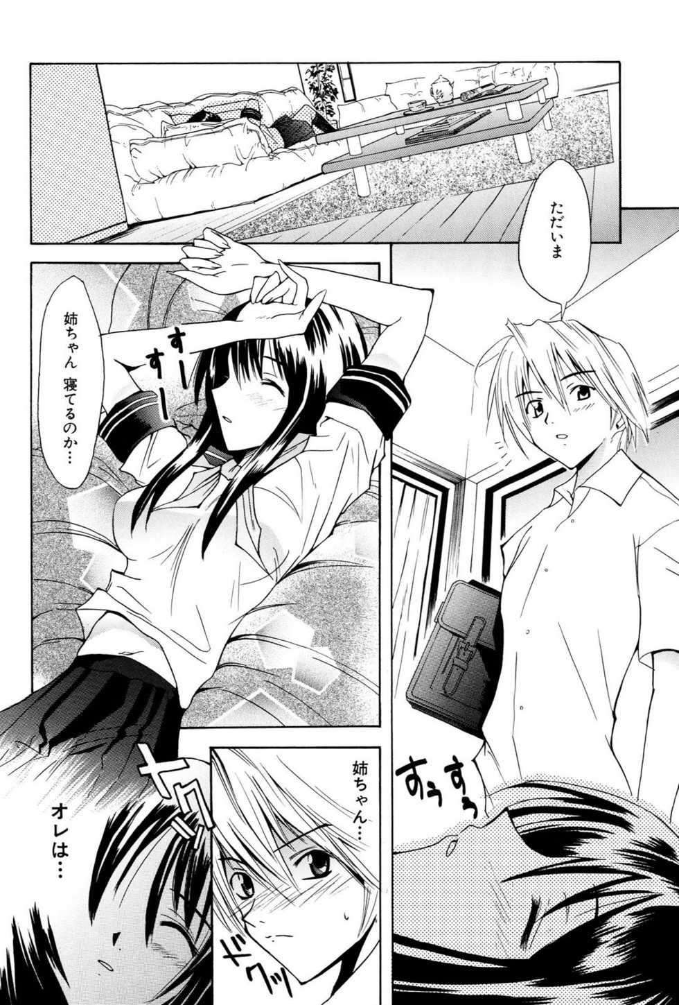 [wakana hanabi] Ane Daku - Page 25