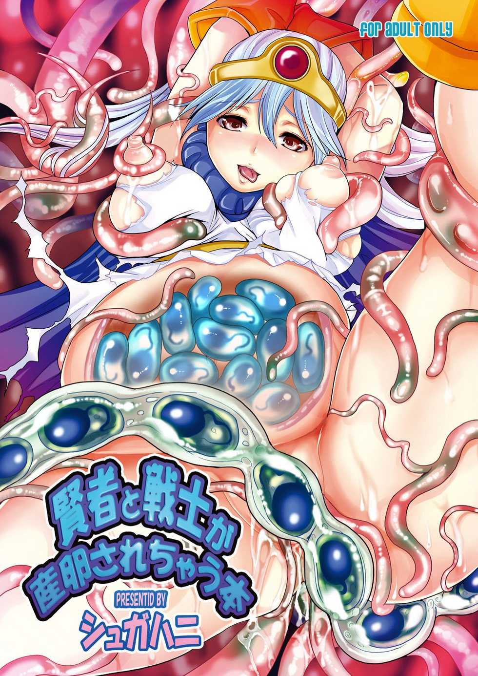 [Suger Honey (Sugar Milk, Mizuki Honey)] Kenja to Senshi ga Sanran Sarechau Hon | Sage And Warrior Spawning Book (Dragon Quest III) [English] [SaHa] [Digital] - Page 1