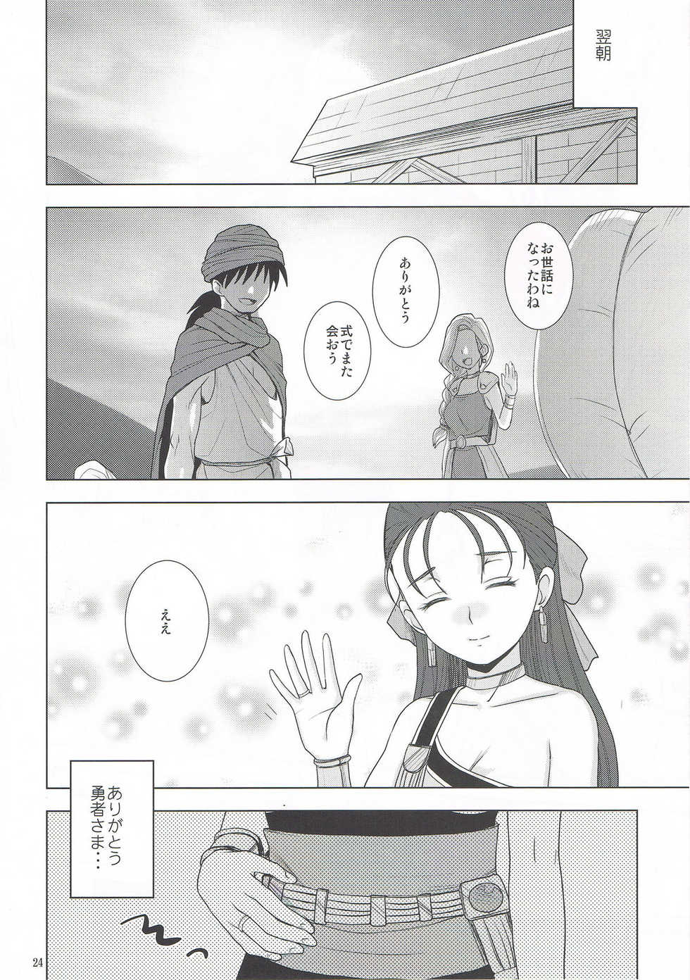 (COMIC1☆6) [TOLUENE ITTOKAN (Marumiya, Pierre Norano, Shinagawa Ham)] Ketsu!Megaton DQ (Dragon Quest V) - Page 24