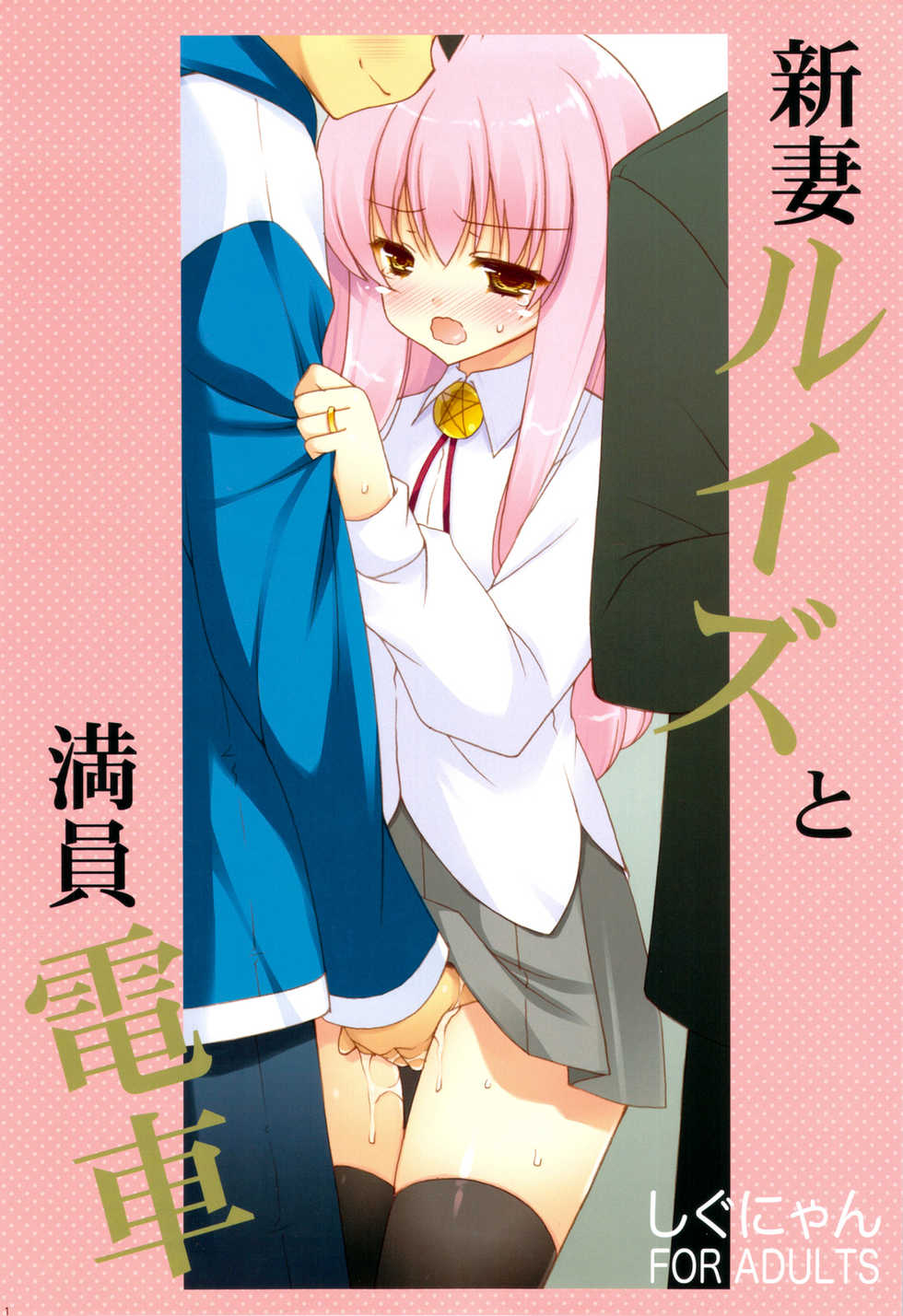 (COMIC1☆6) [Shigunyan] Niizuma Louise to Manin Densha (Zero no Tsukaima) - Page 1