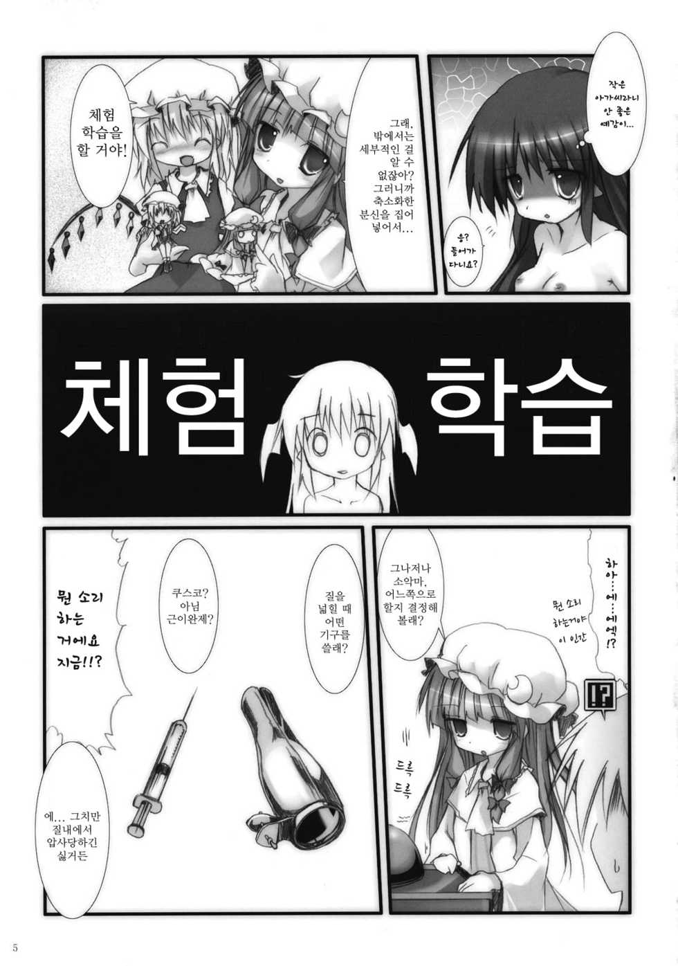 (Aka no Hiroba 5) [Suzunaridou (Izumi Yukiru)] Koakuma de Hokentaiiku (Touhou Project) [Korean] [Team Arcana] - Page 5