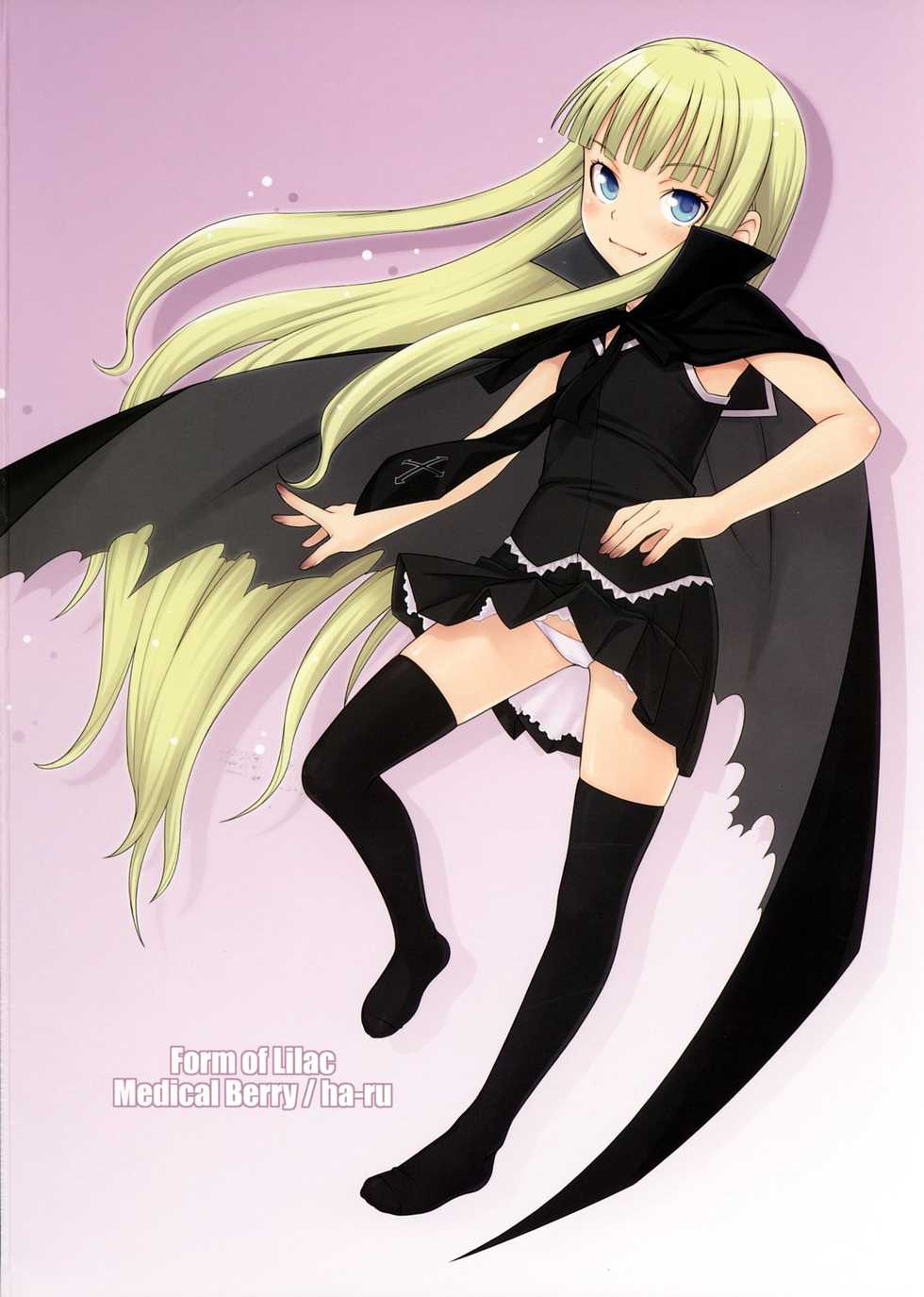 (C71) [Medical Berry (ha-ru)] Form of Lilac (Mahou Sensei Negima!) - Page 26