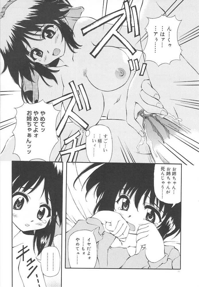 [Yasui Hirosato] Honto wa Suki Nanda+ - Page 13