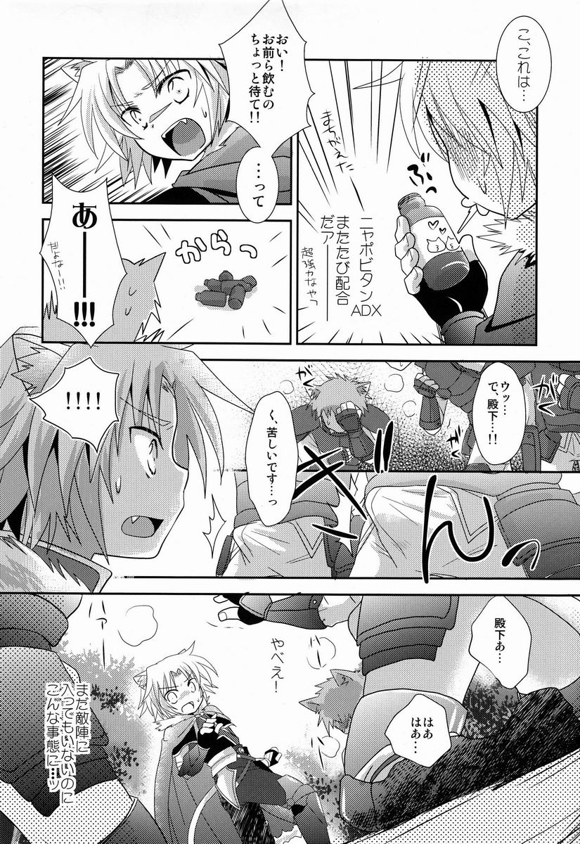 [Fuwawa (Oki no Matsushiro)] Gaul-denka no Senshou go Houbi (Dog Days) - Page 19