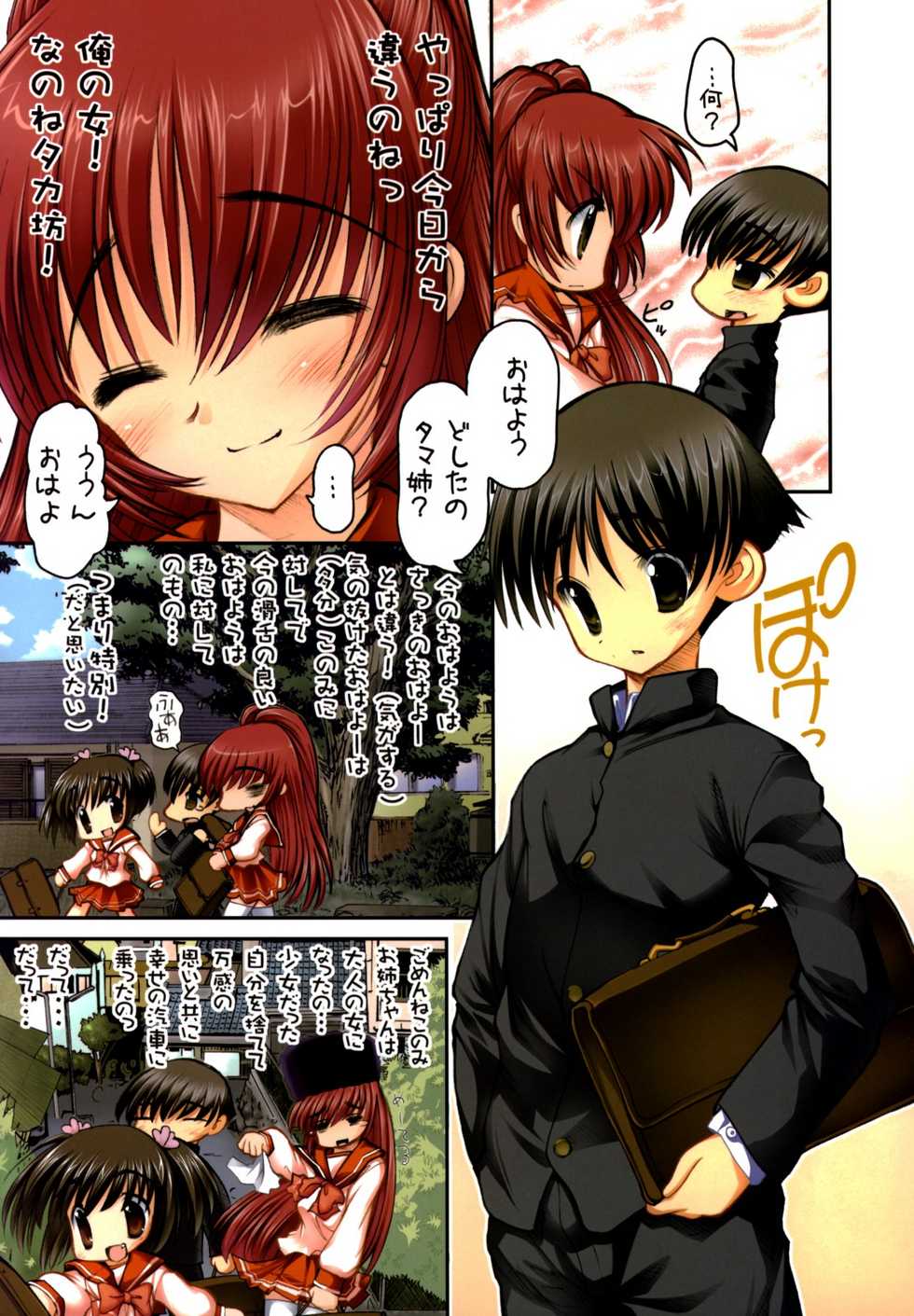 (C74) [STUDIO HUAN (Raidon)] Tama-nee no Kairaku ALL Full Color Soushuuhen (ToHeart2) - Page 8