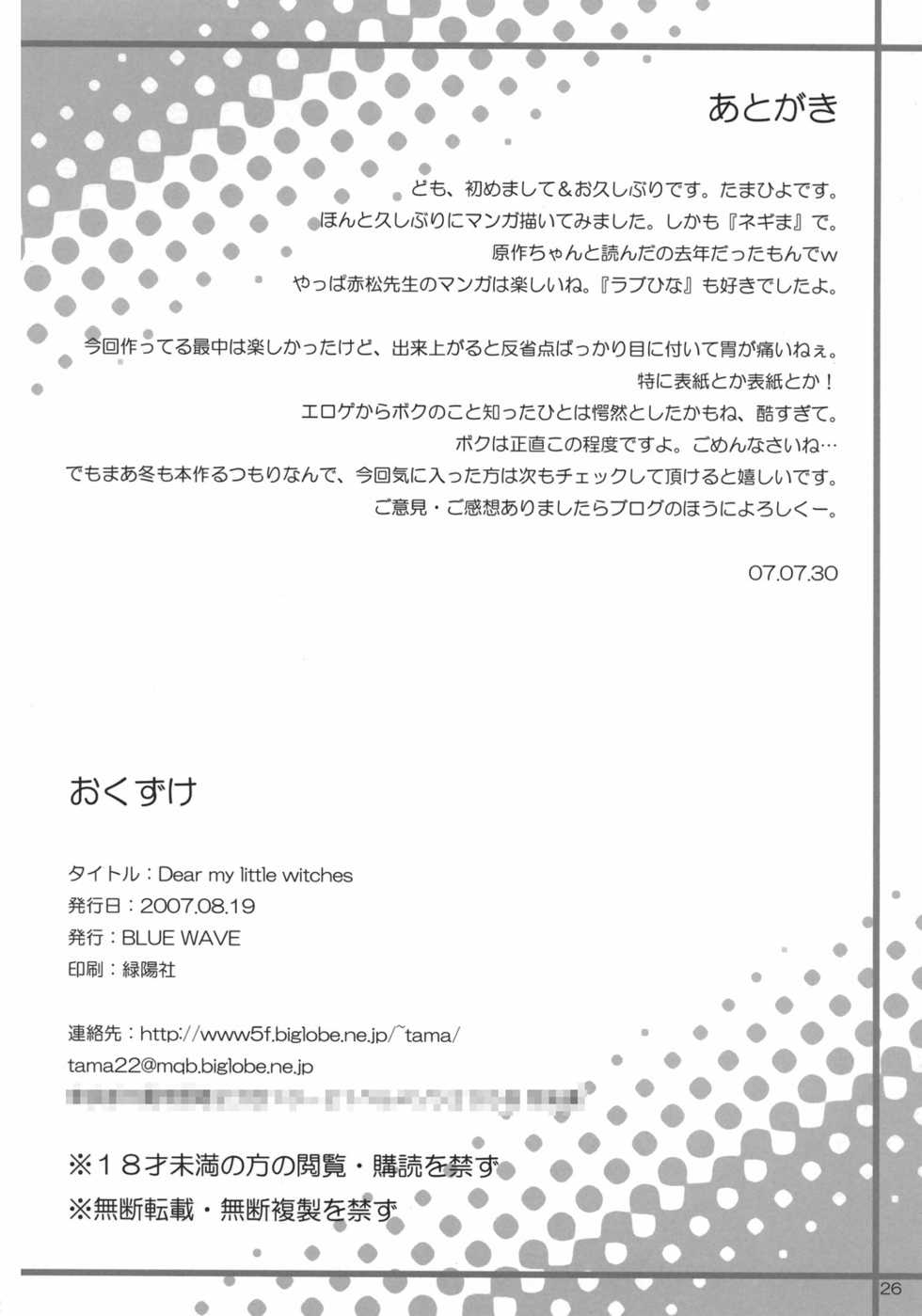 (C72) [BLUE WAVE (Tamahiyo)] Dear my little witches (Mahou Sensei Negima!) - Page 25