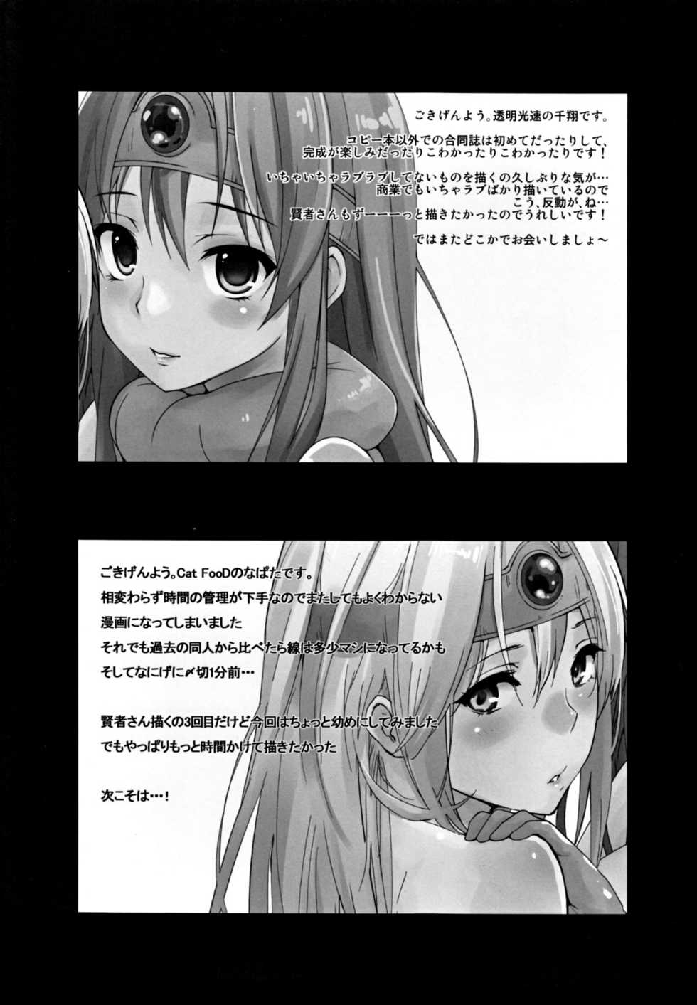 (C82) [Cat Food & Toumei Kousaku (NaPaTa & Chika)] Kenja-san Reberu Ju-yon (Dragon Quest III) - Page 23